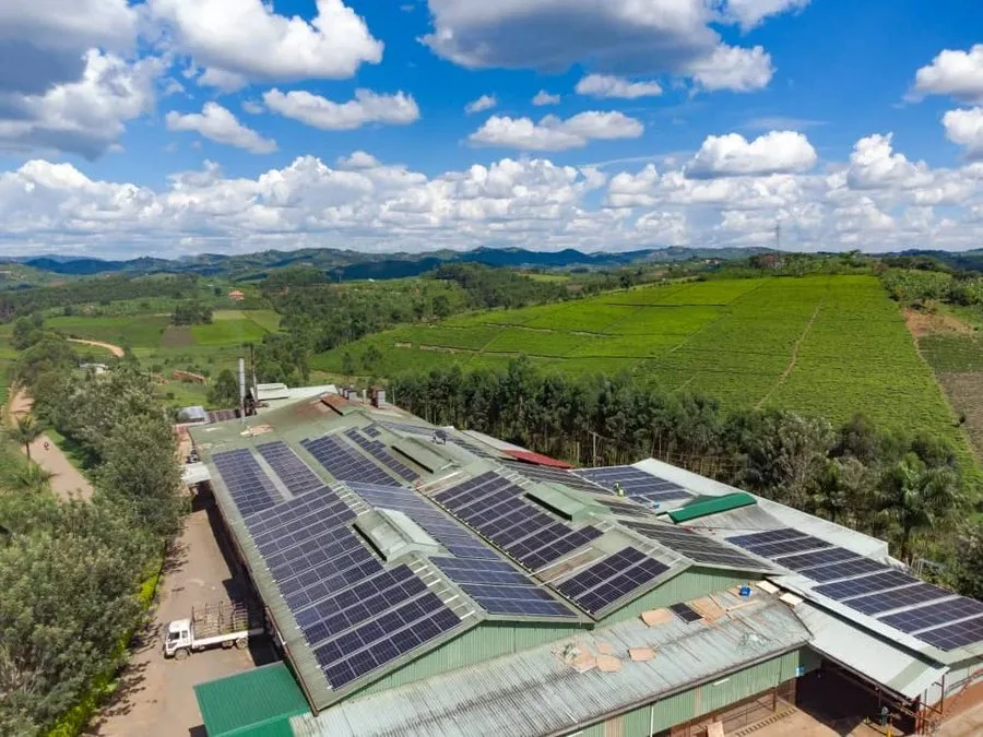 Kyamuhunga Tea Company, built by Equator Solar Systems Ltd